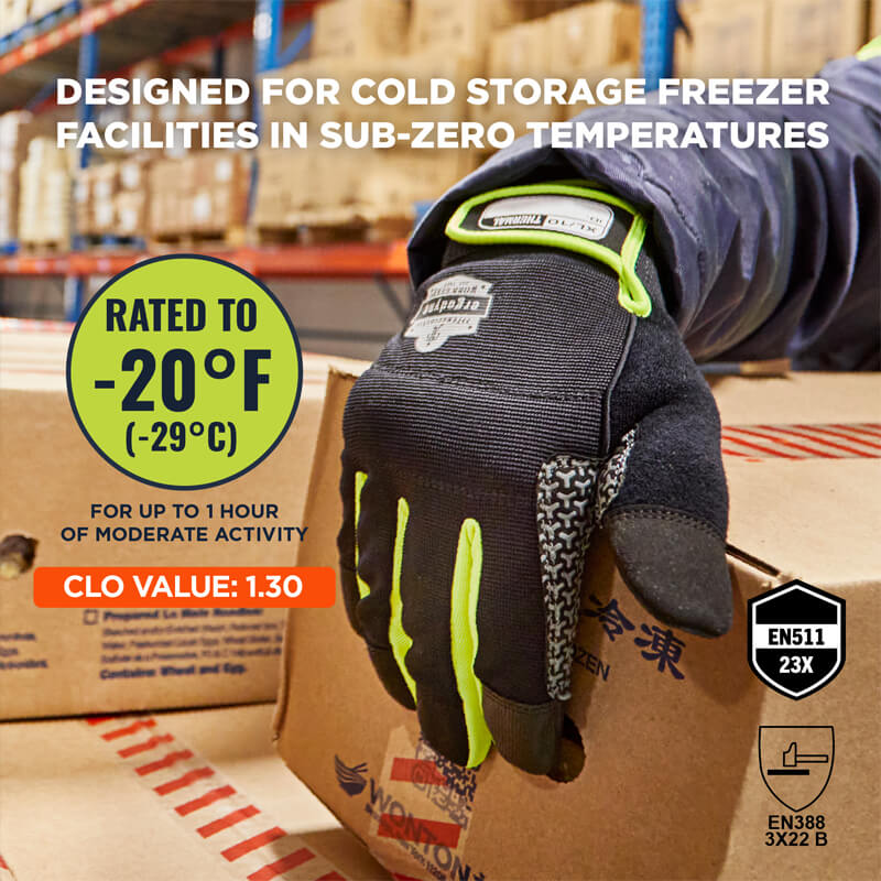 Ergodyne ProFlex 850 Kälteschutz-Handschuhe, touchscreenfähig, beim Greifen eines Kartons im Kühl- oder Gefrierhaus; isoliert bis -29 °C, mit sicherem Grip und robuster Verstärkung
