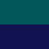 petrol | navy
